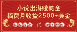 小说出海赚美金，稿费月收益2500+美金，仅需chatgpt粘贴复制，新手也能玩转【揭秘】