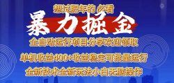 2025暴力掘金项目，想过肥年必看！