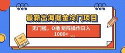 最新出海掘金冷门项目，单号日入1000+