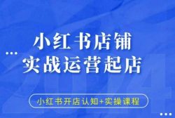 小红书店铺实战运营起店，小红书开店认知+实操课程