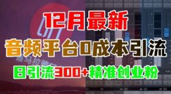 12月最新：音频平台0成本引流，日引流300+精准创业粉