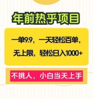 一单9.9，一天百单无上限，不挑人，小白当天上手，轻松日入1000+