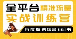 全平台精准流量实战训练营，百度微信抖音小红书SEO引流教程