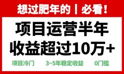 年前过肥年的必看的超冷门项目，半年收益超过10万+，