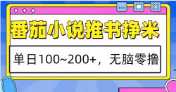 番茄小说推书赚米，单日100~200+，无脑零撸