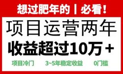 2025快递站回收玩法：收益超过10万+，项目冷门，0门槛