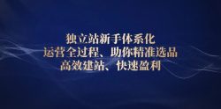 独立站新手体系化 运营全过程，助你精准选品、高效建站、快速盈利