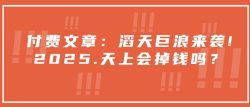 付费文章：滔天巨浪来袭！2025天上会掉钱吗？