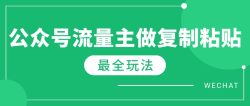 最新完整Ai流量主爆文玩法，每天只要5分钟做复制粘贴，每月轻松10000+