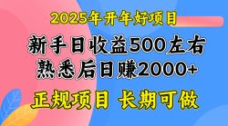 2025开年好项目，单号日收益2000左右