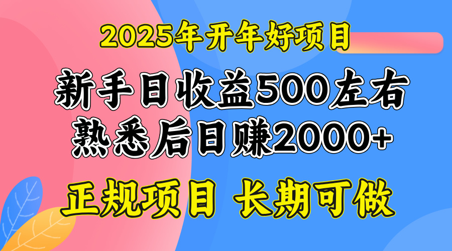 2025开年好项目，单号日收益2000左右