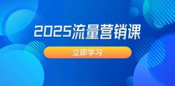 2025流量营销课：直击业绩卡点, 拓客新策略, 提高转化率, 设计生意模式