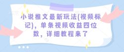 小说推文最新玩法(视频标记)，单条视频收益四位数，详细教程来了