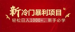 项目名称：每天一小时，轻松到手1000，冷门赚钱项目！