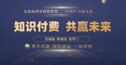 别人苦寻无果，为何他们靠知识付费卖项目 2025 年轻松年入100个?【揭秘】