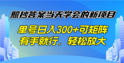 照抄答案当天学会的新项目，单号日入300 +可矩阵，有手就行，轻松放大