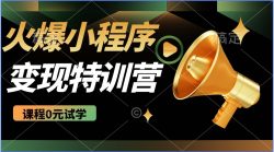 2025火爆微信小程序推广，全自动被动收益，轻松日入500+