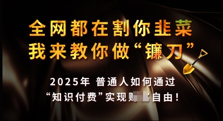 知识付费如何做到月入过W+，2025我来教你做“镰刀”【揭秘】