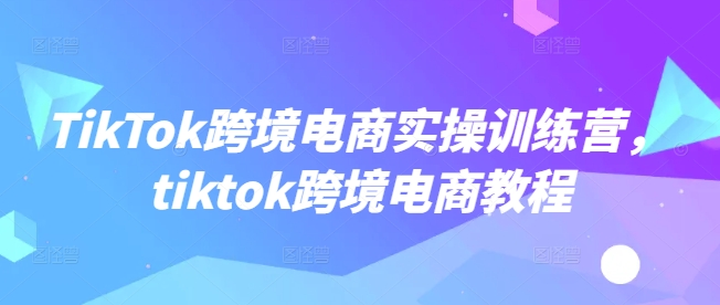 TikTok跨境电商实操训练营，tiktok跨境电商教程