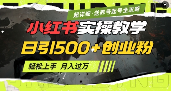 2月小红书最新日引500+创业粉实操教学【超详细】小白轻松上手，月入1W+，附小红书养号起号SOP