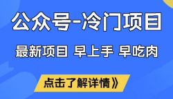 公众号冷门赛道，早上手早吃肉，单月轻松稳定变现1W【揭秘】