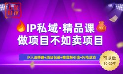 2025年“IP私域·密训精品课”，日赚3000+小白避坑年赚百万，暴力引流…