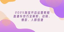 2025淘宝开店运营教程更新，直通车技巧全解析，动销、爆款、人群搭建