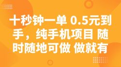 十秒钟一单 0.5元到手，纯手机项目 随时随地可做 做就有