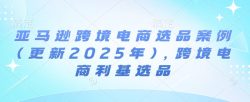 亚马逊跨境电商选品案例(更新2025年3月)，跨境电商利基选品